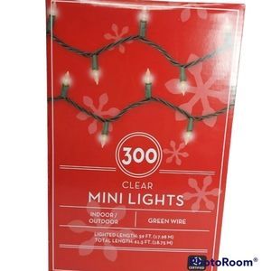 indoor/outdoor mini lights